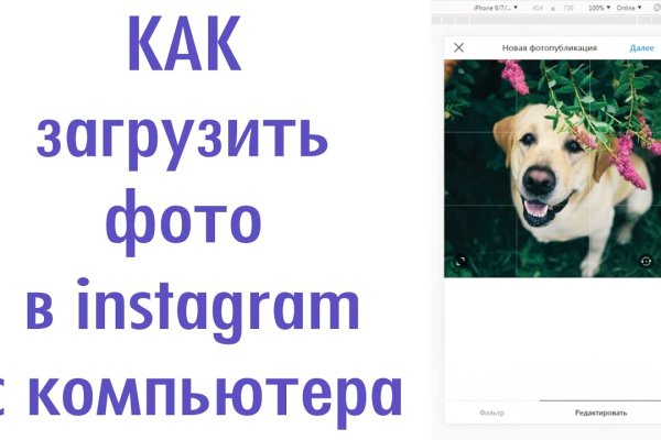 Что продают на кракене